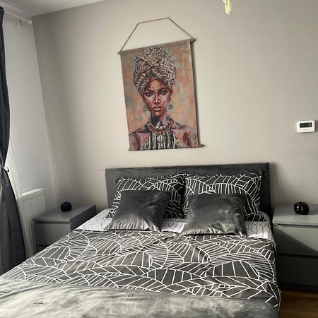 Apartament Acasa Sibiu Luaran gambar