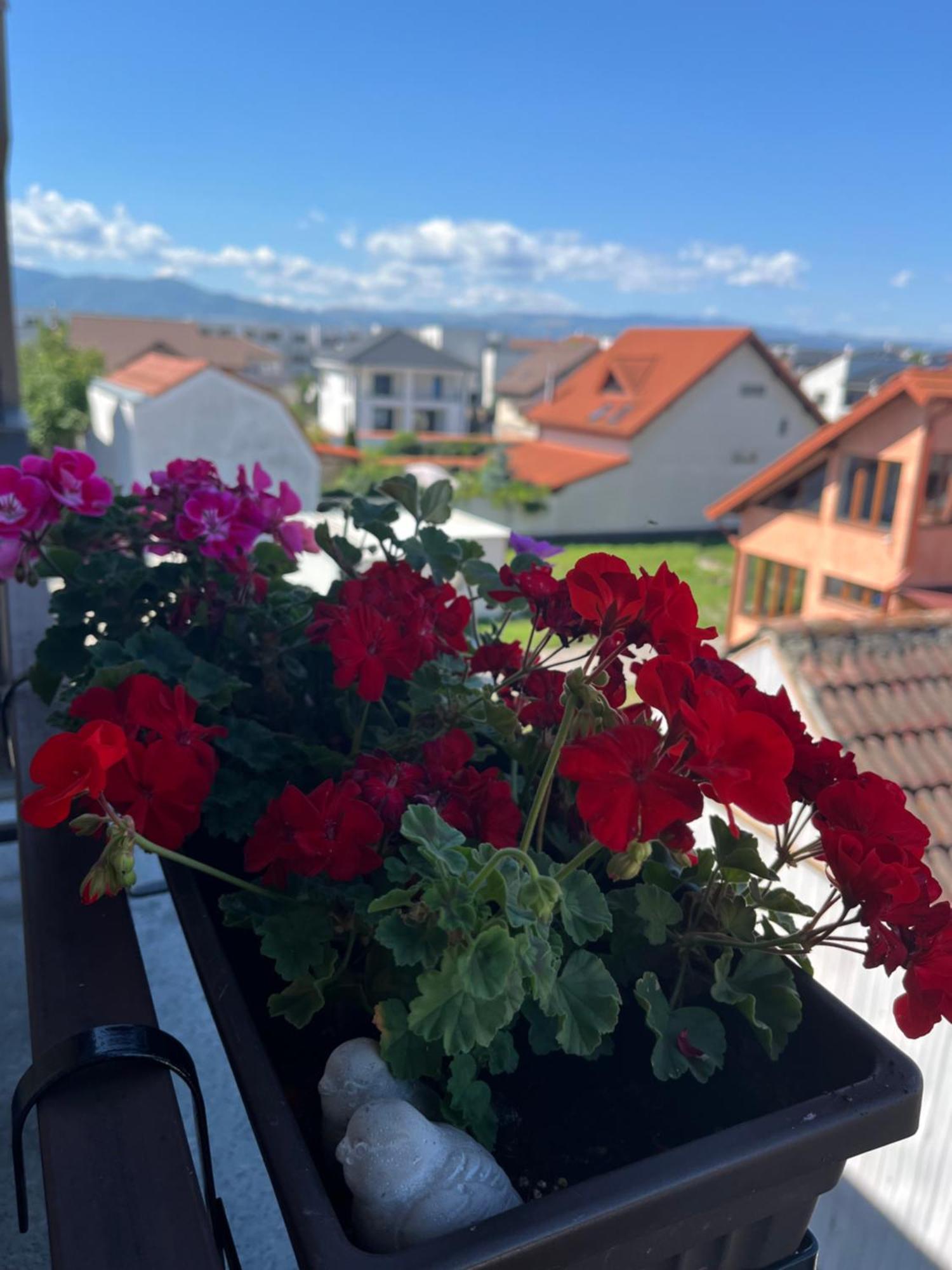 Apartament Acasa Sibiu Luaran gambar